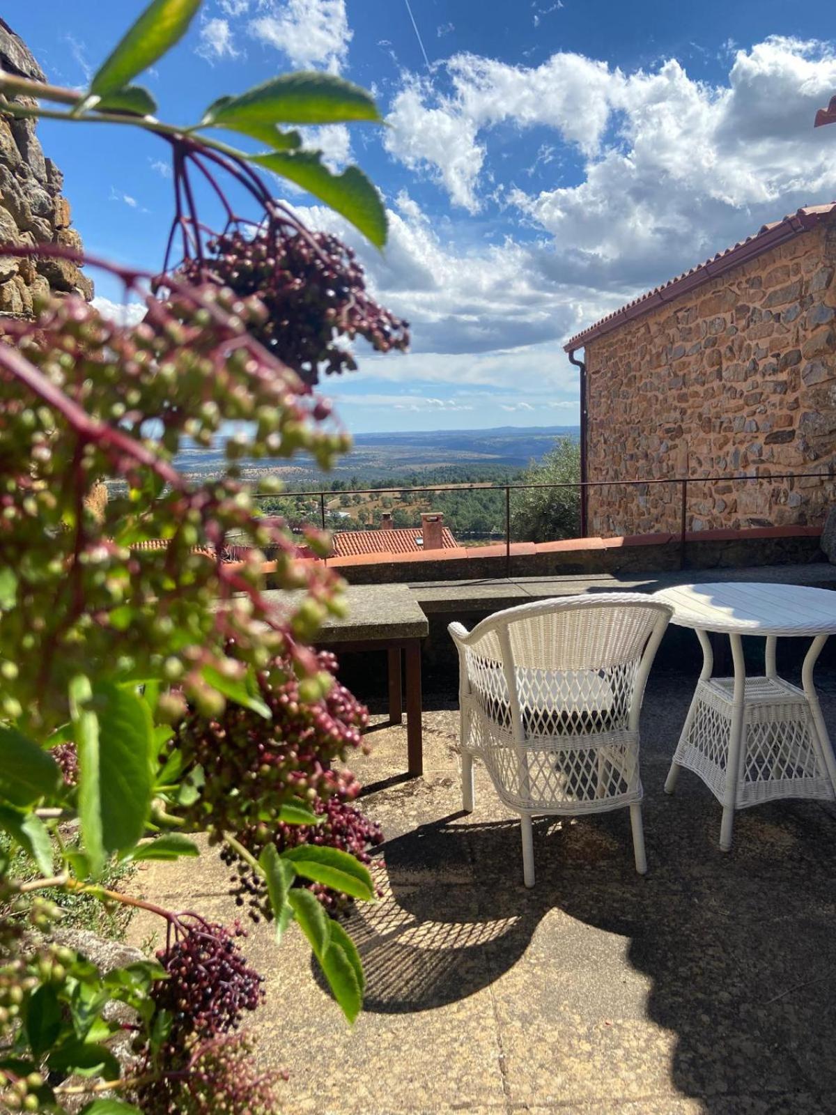 Casa Da Cisterna * Figueira de Castelo Rodrigo